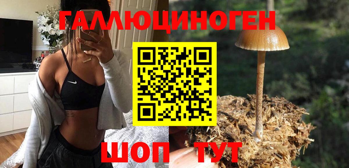 Галлюциногенные грибы Magic Shrooms  Вход с VPN  Серов  Псилоцибиновые грибы MAGIC MUSHROOMS 